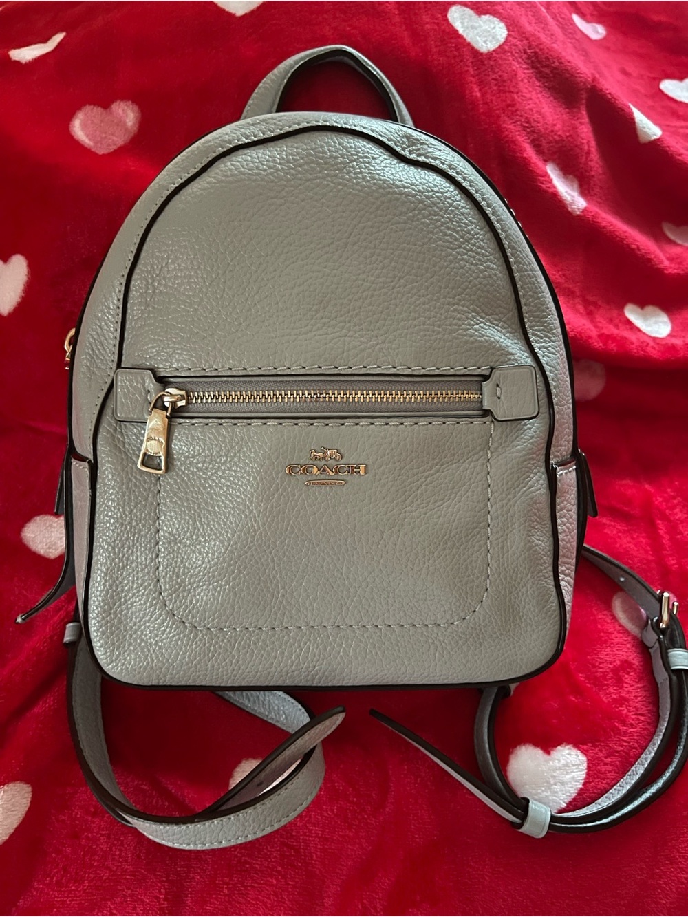 Coach New York - Andi Pebble Leather Convertible Mini Backpack in Light Blue
